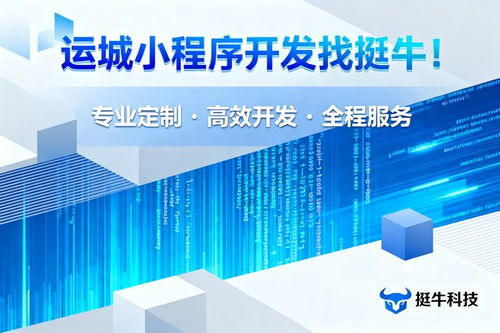 運城小程序開發價格解析 技術開發成本與因素